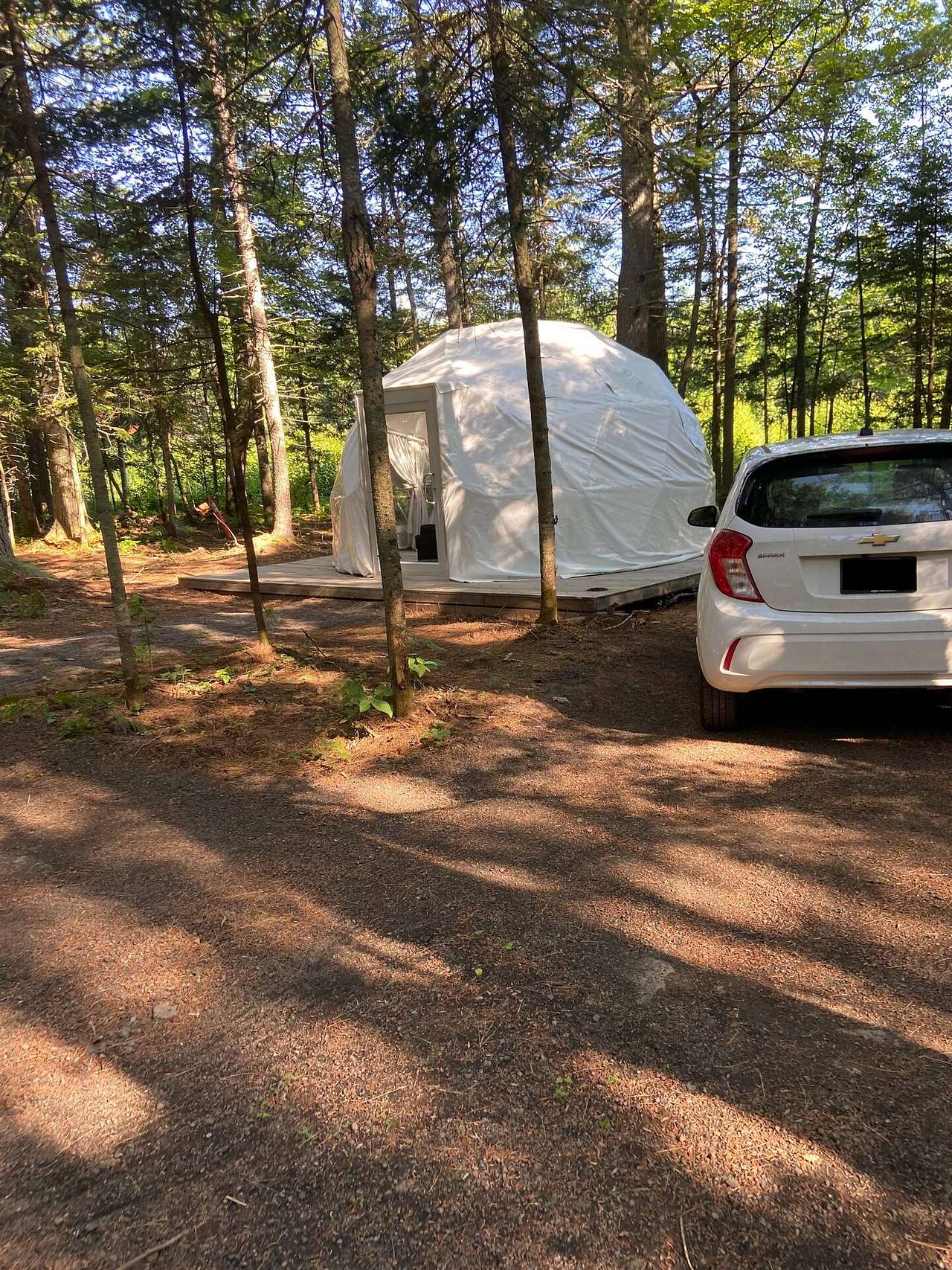 Picture of the site