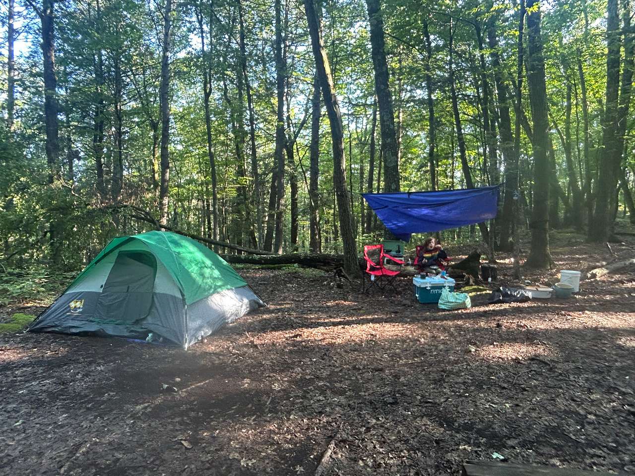 Site 2