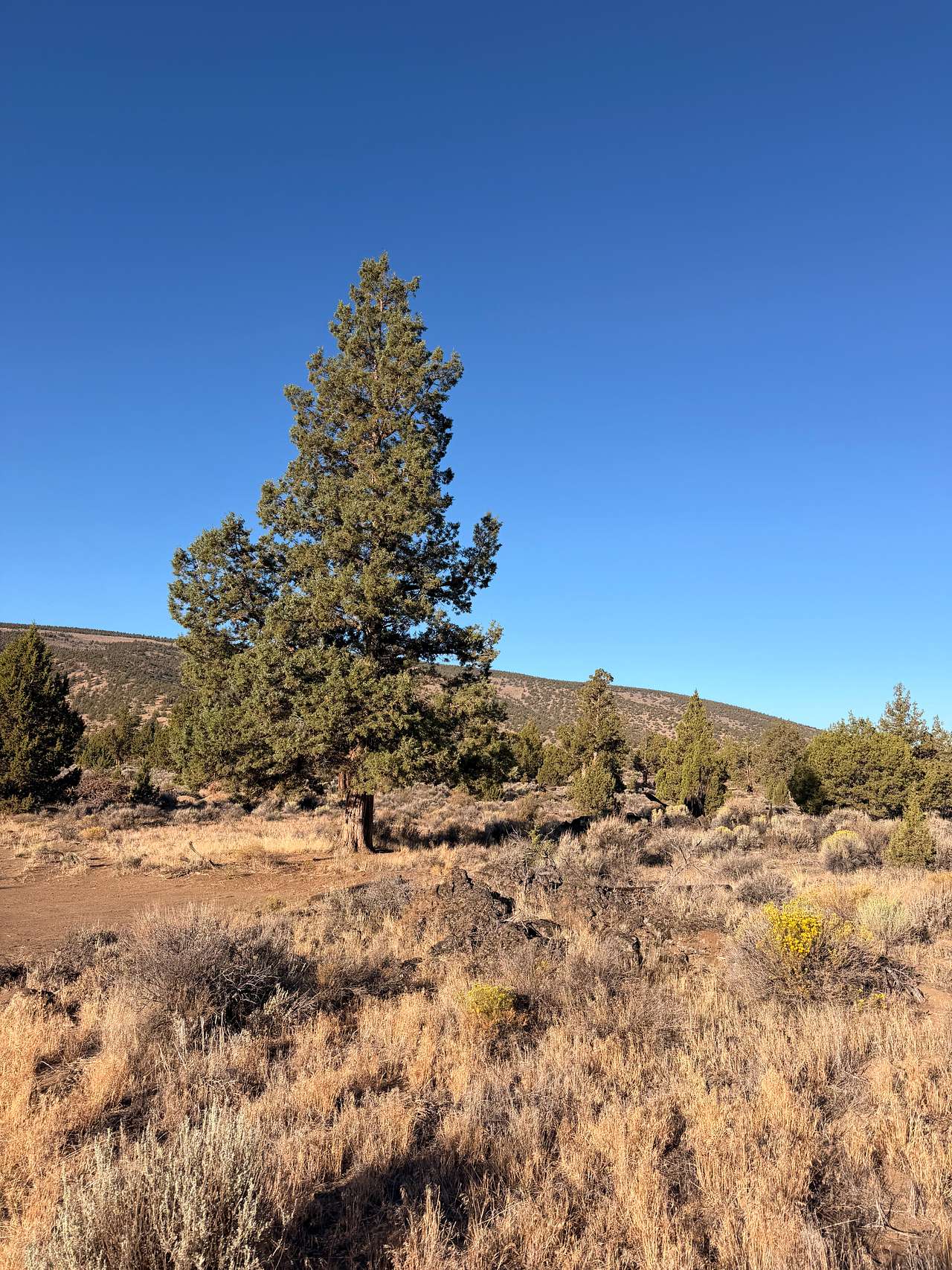 Sage Ridge