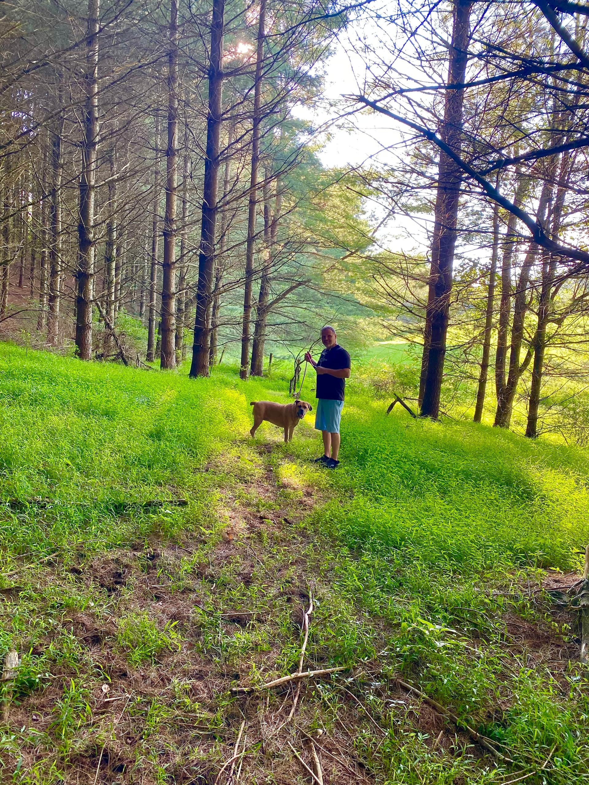 Trail to the cabin ruins