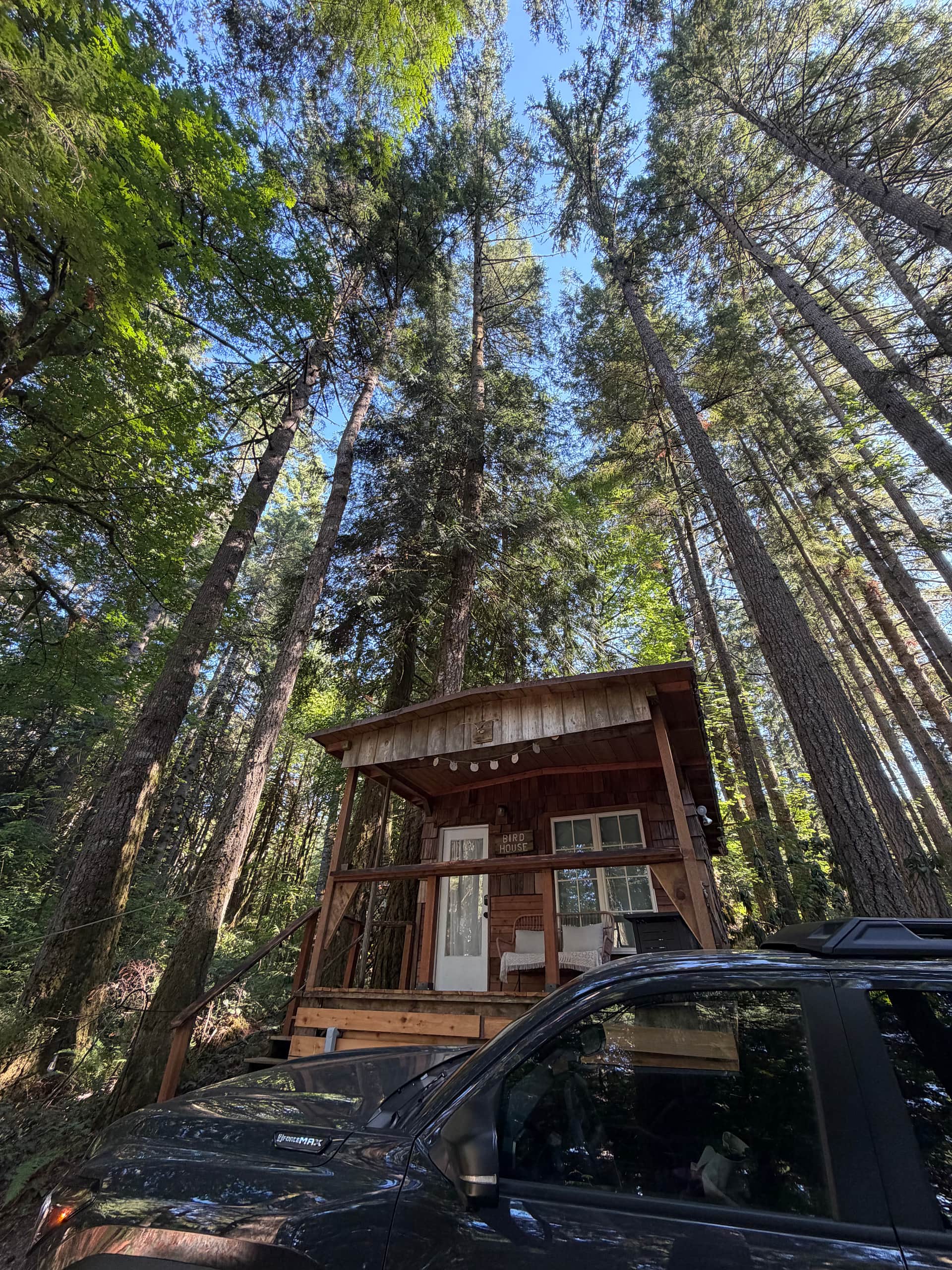 Elevation Hive Forest Retreat