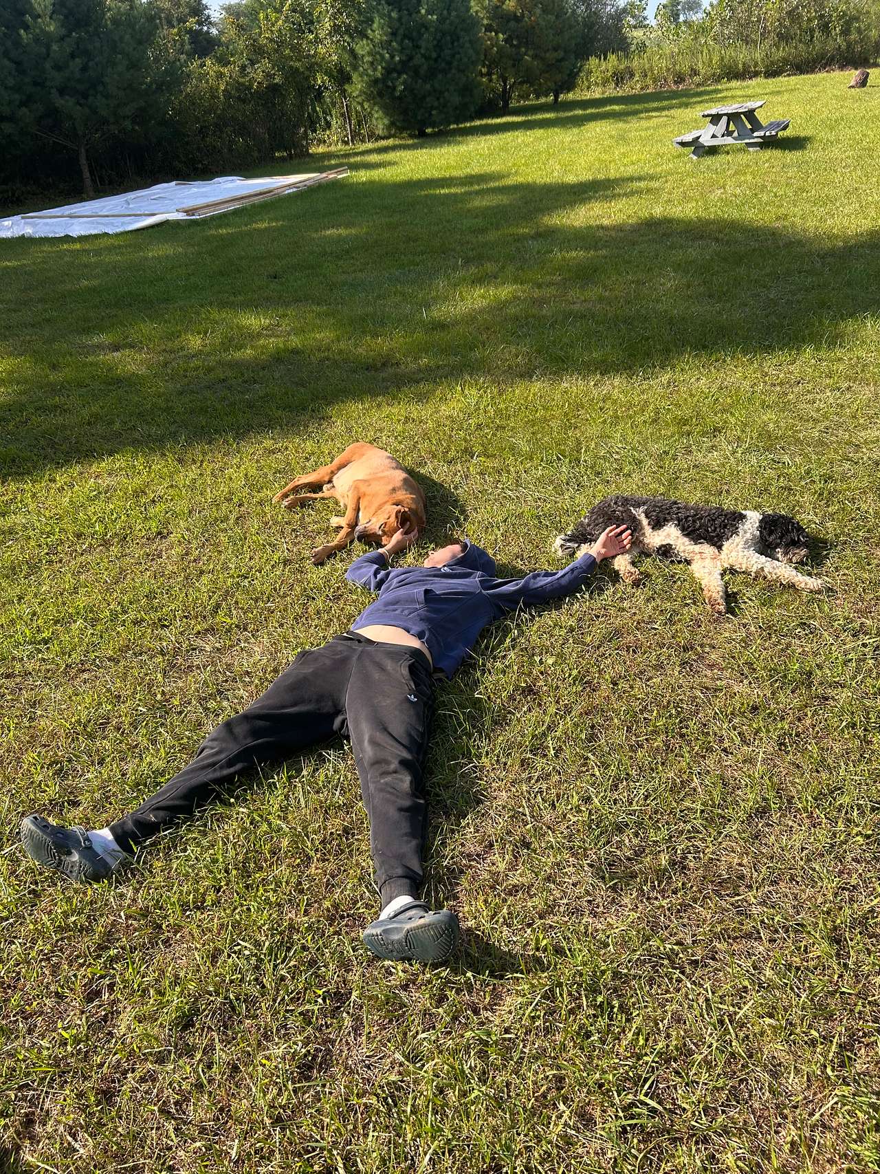 Chilling with the dogs