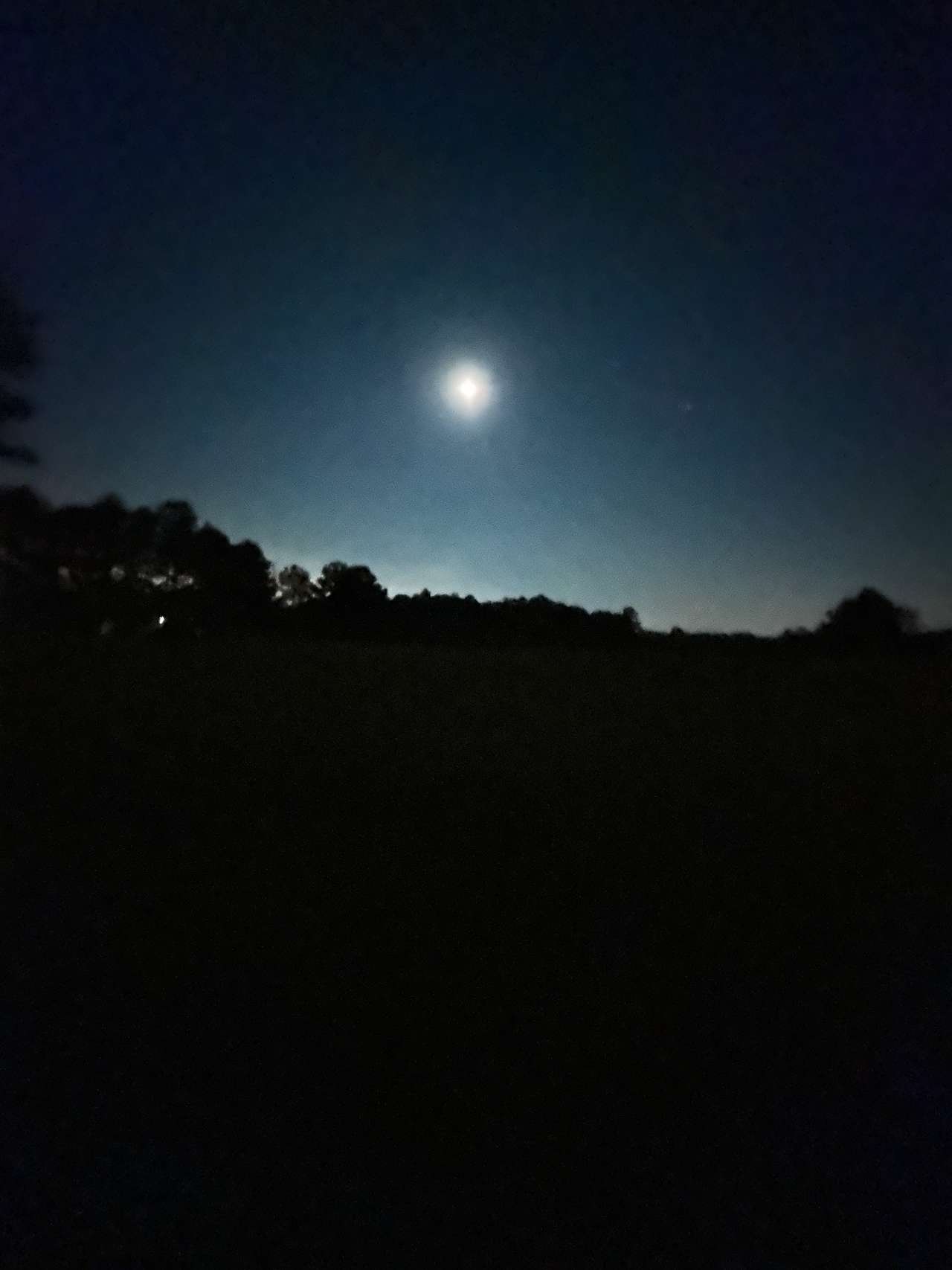 Star gazing on site