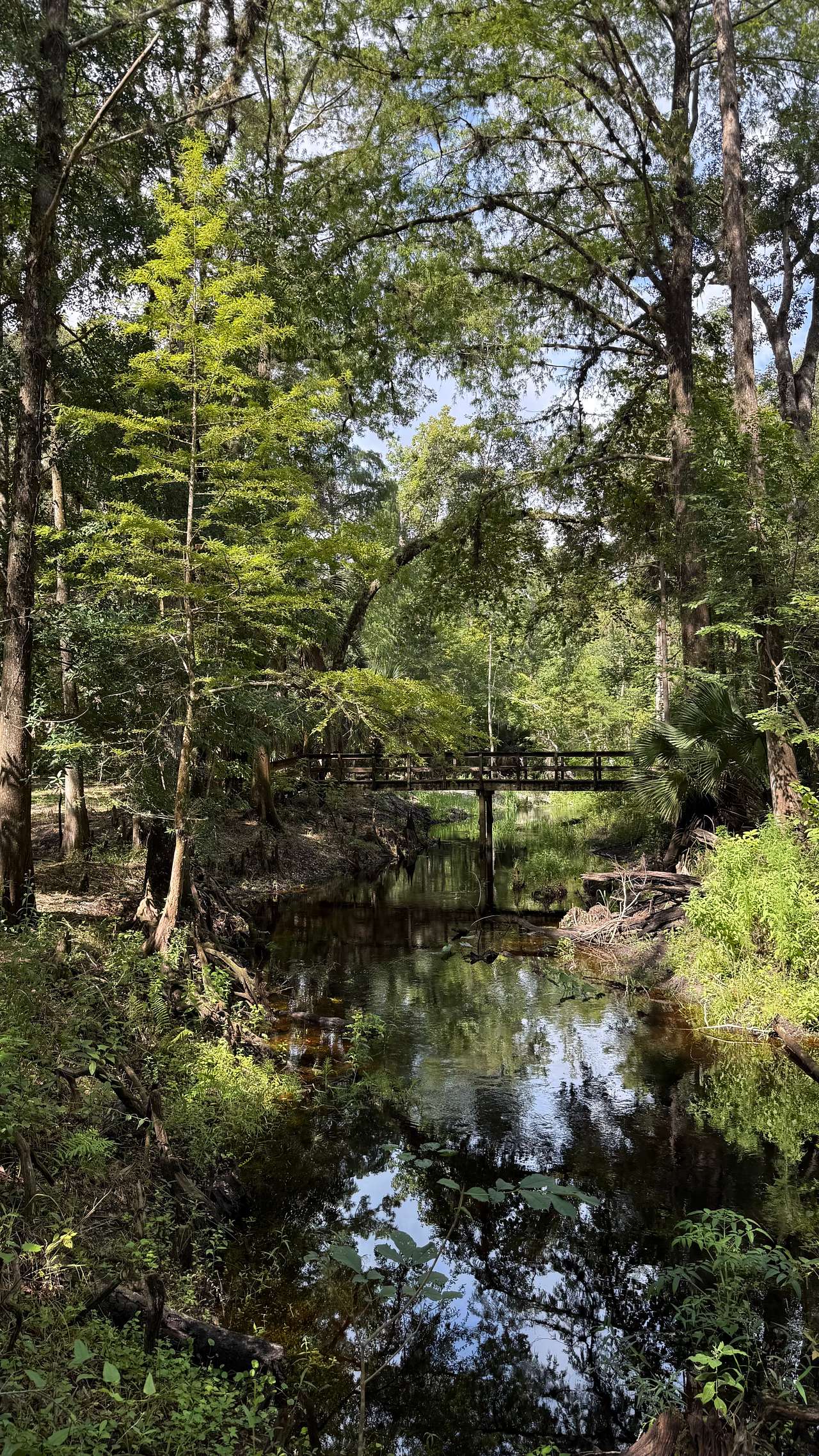 Camp Seminole Springs