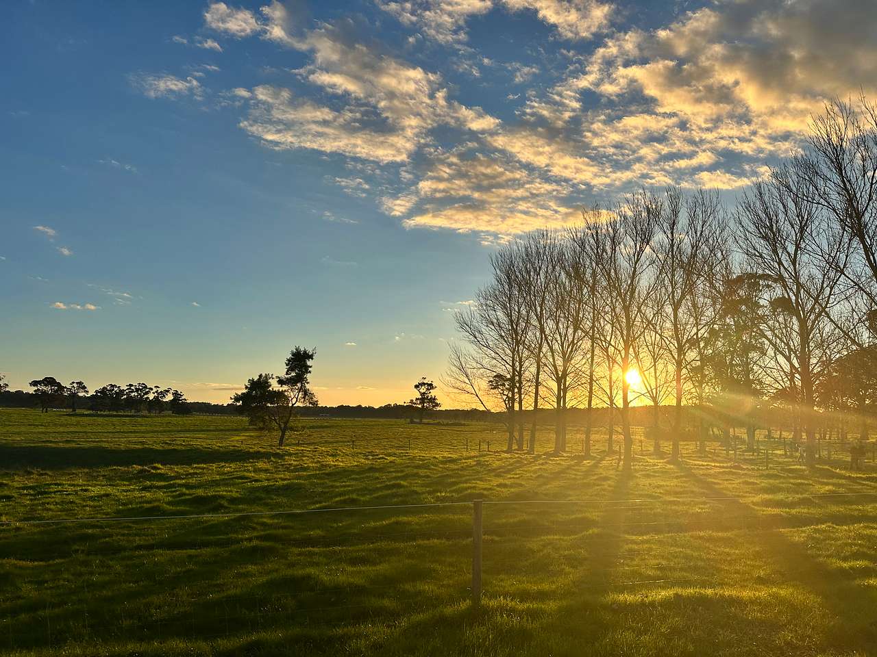 Beautiful Sunrise