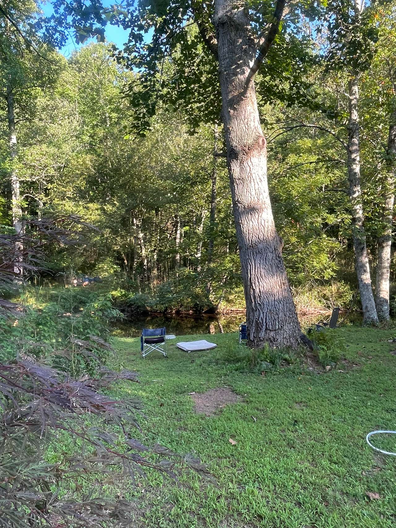 Coweeta Creek Campground