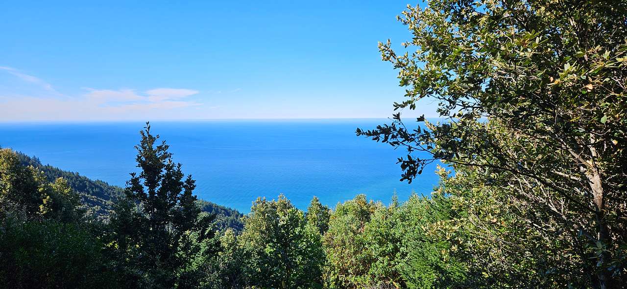 Lost Coast, Oceanview Retreat