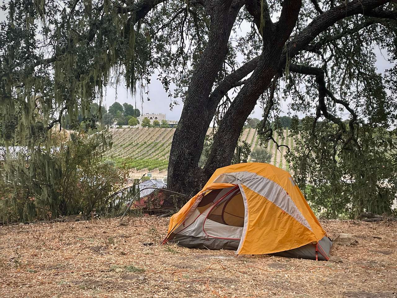 Dark Star Cellars