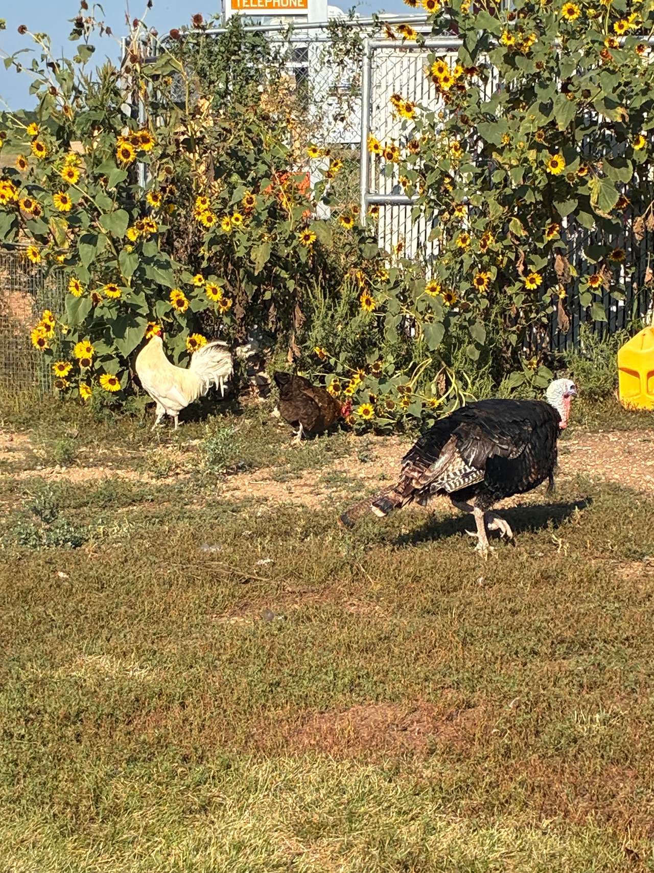 Uncle B's Produce Farm