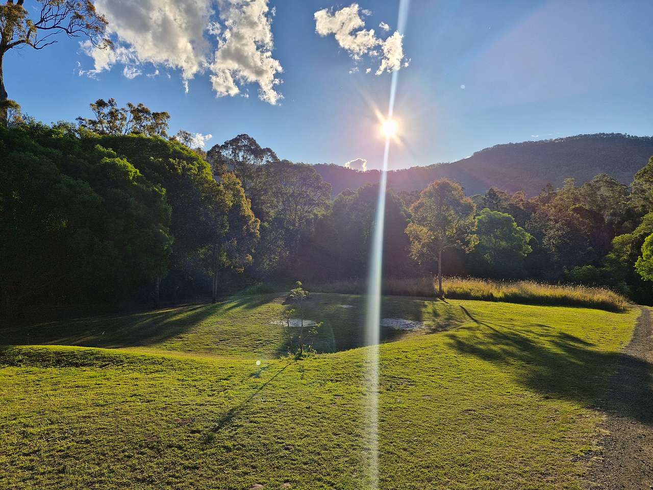 Picture of the site