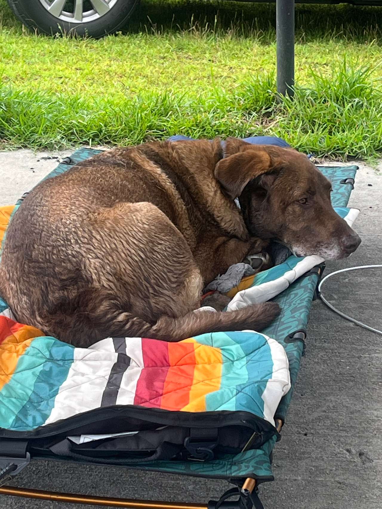 It’s a good tired.