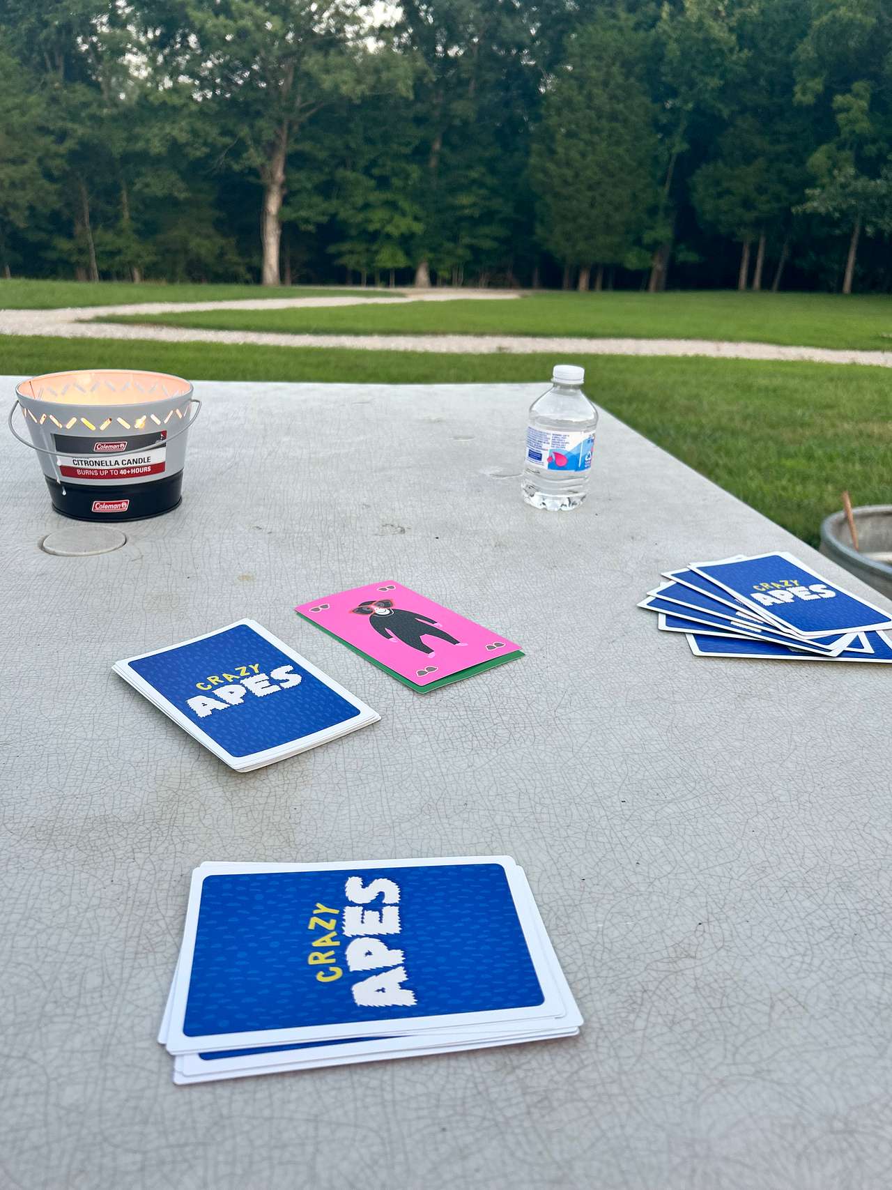Quick fun game to play while taking in the beauty around us