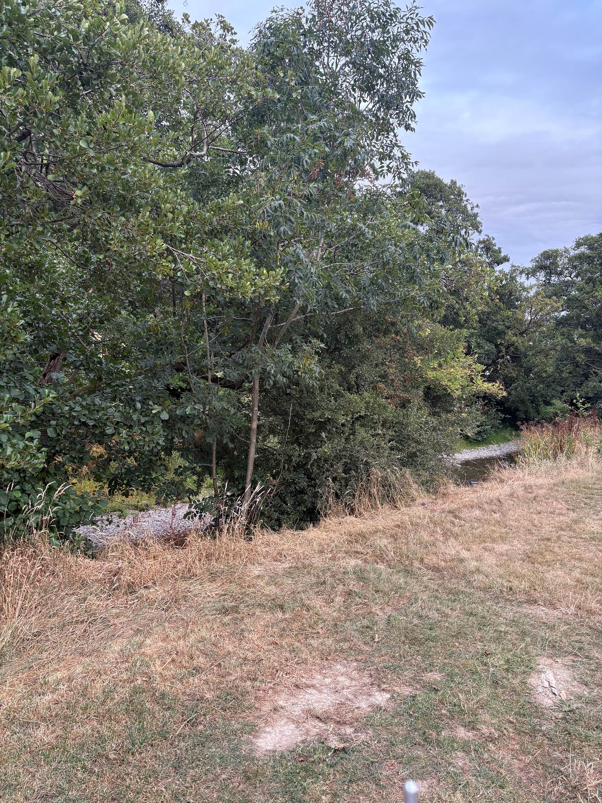 Panpwnton Campsite