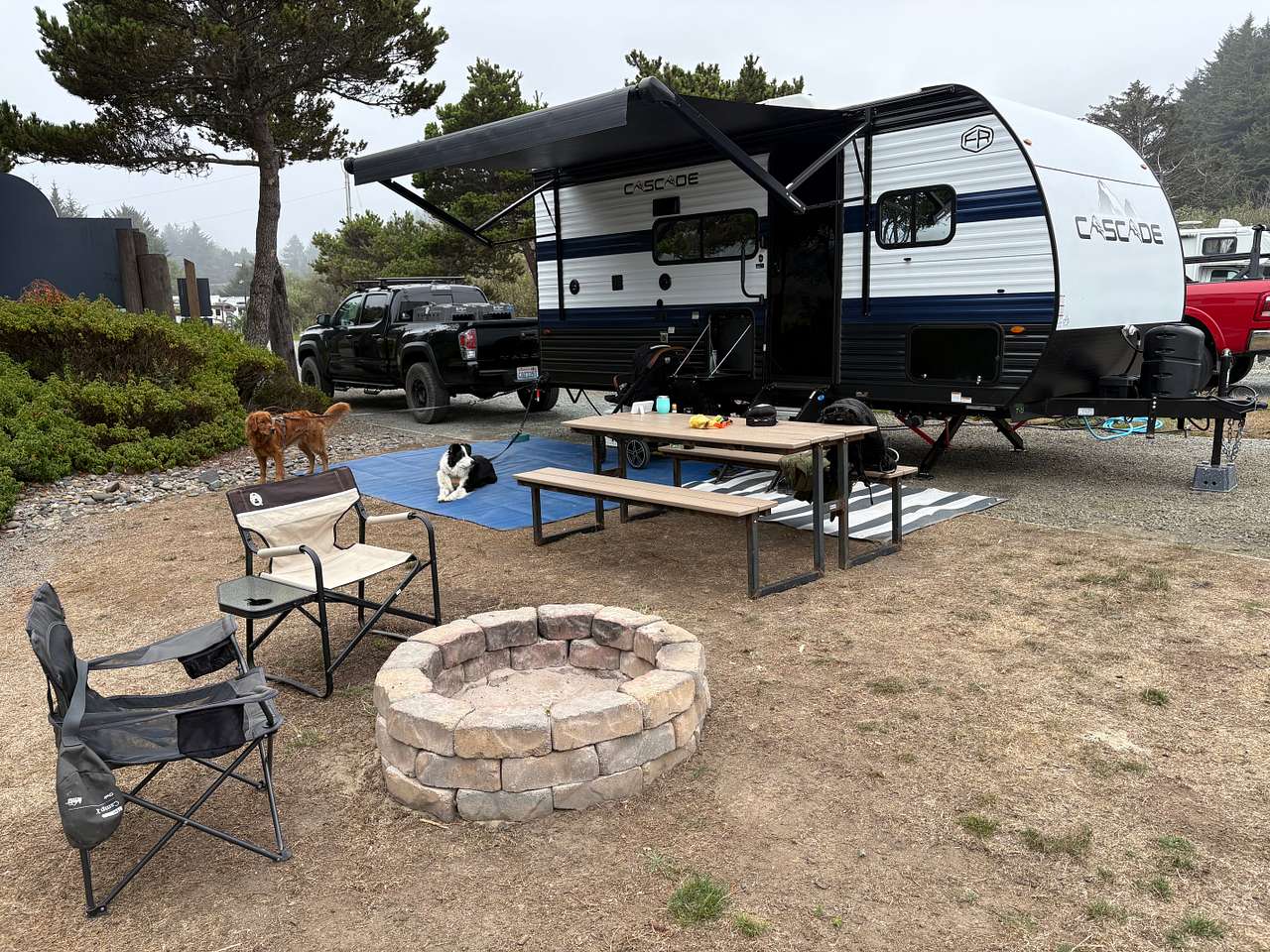 Site 55