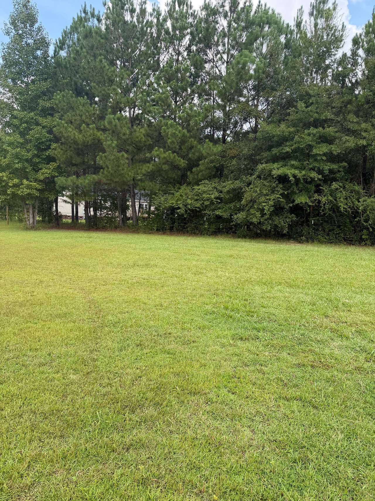 Quiet Harleyville Camp