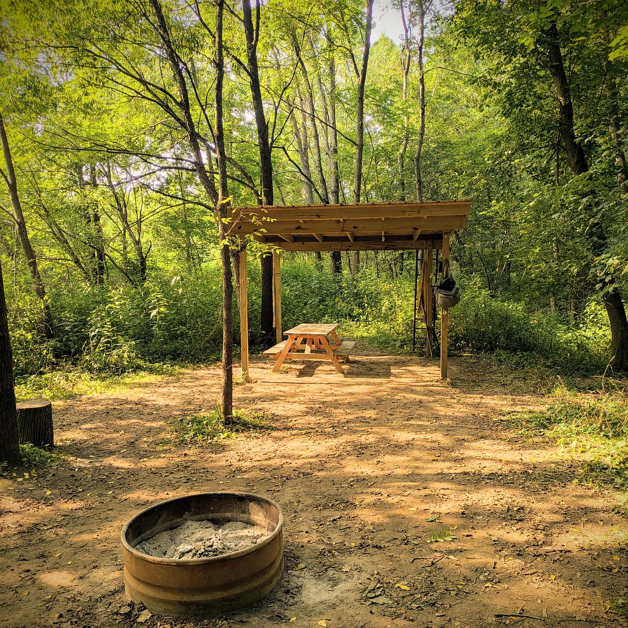 Picture of the site