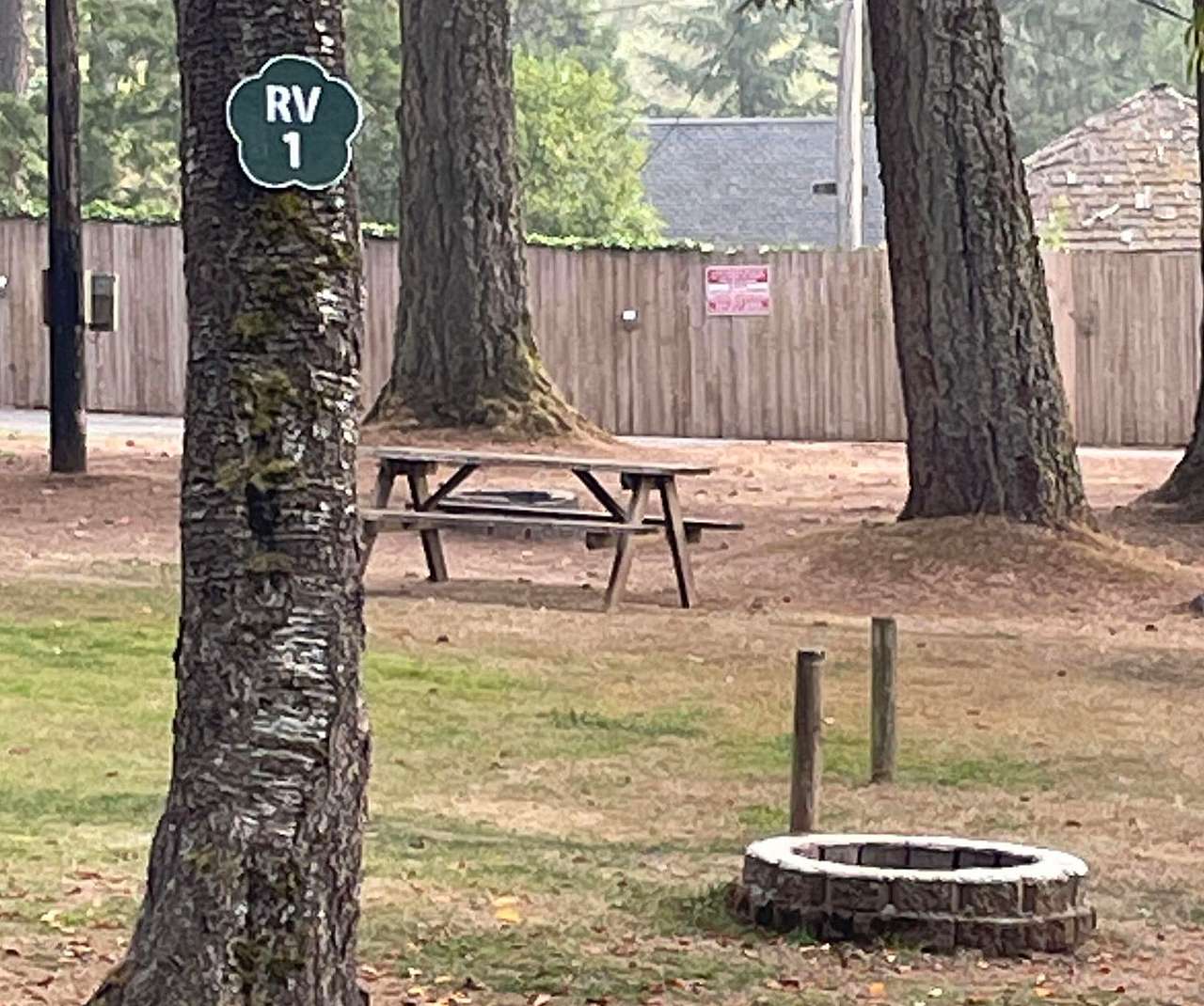 Picture of the site
