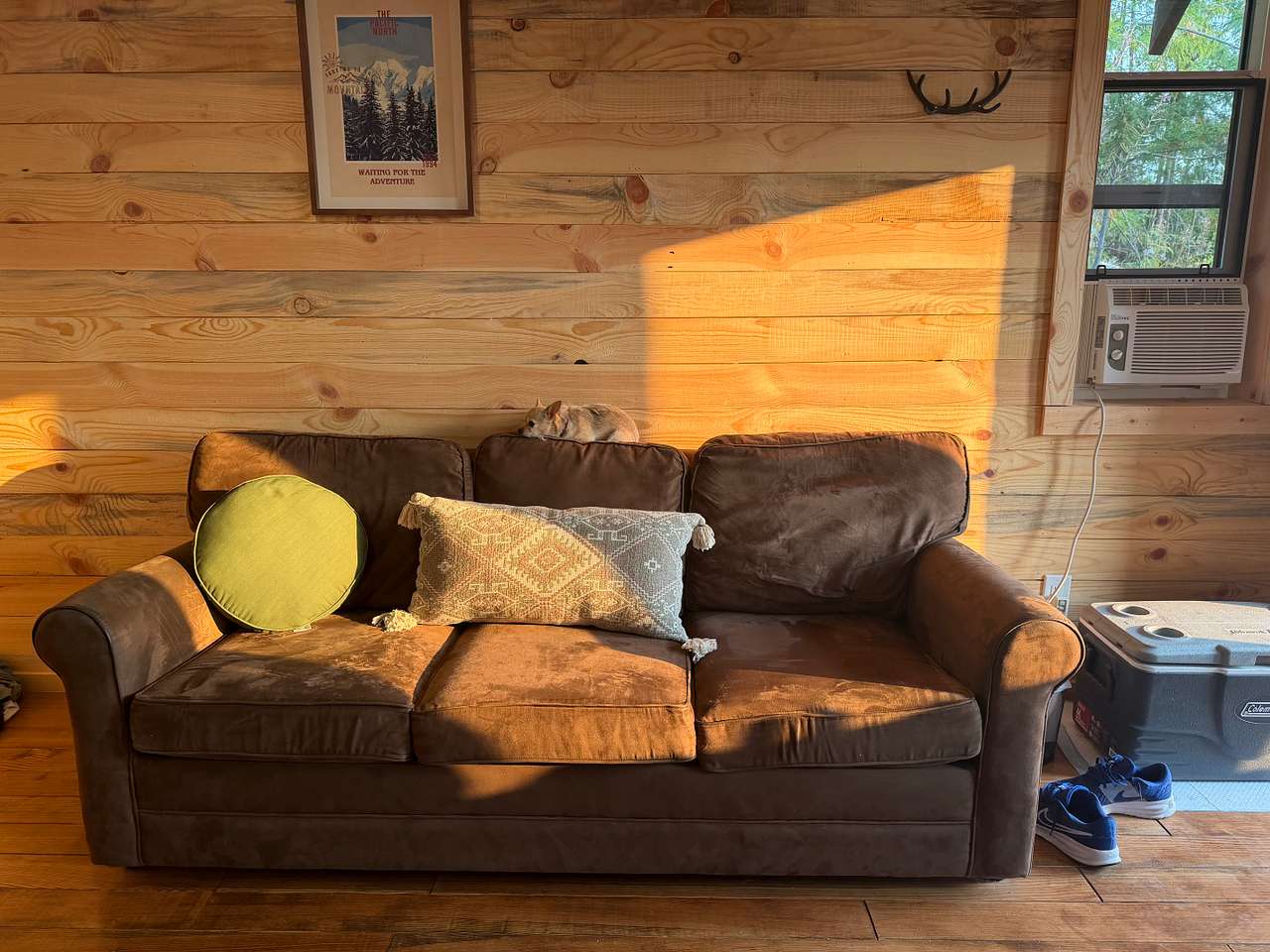 Gucci found a perfect spot on the couch 
