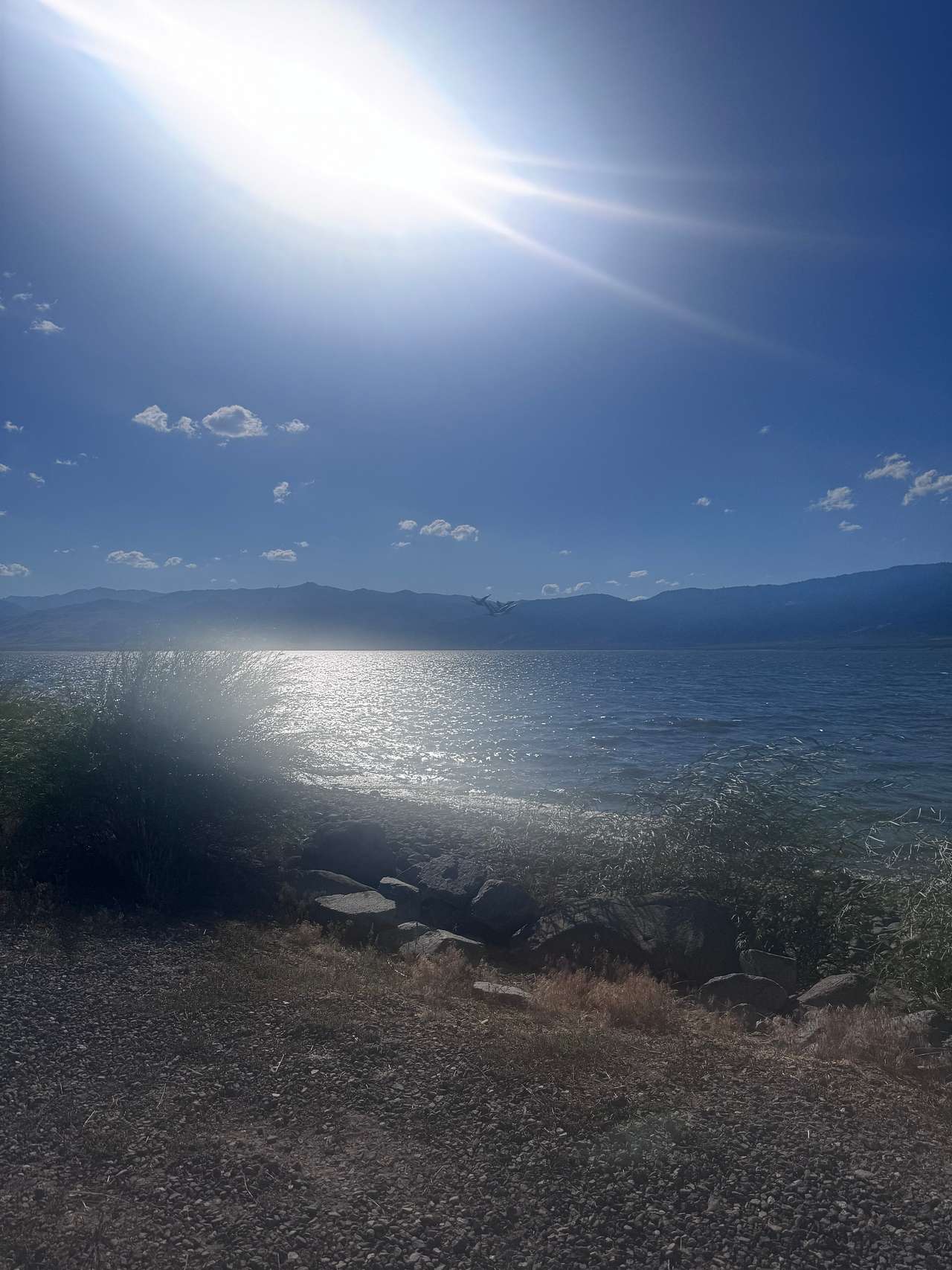 Paradise Shores Camp