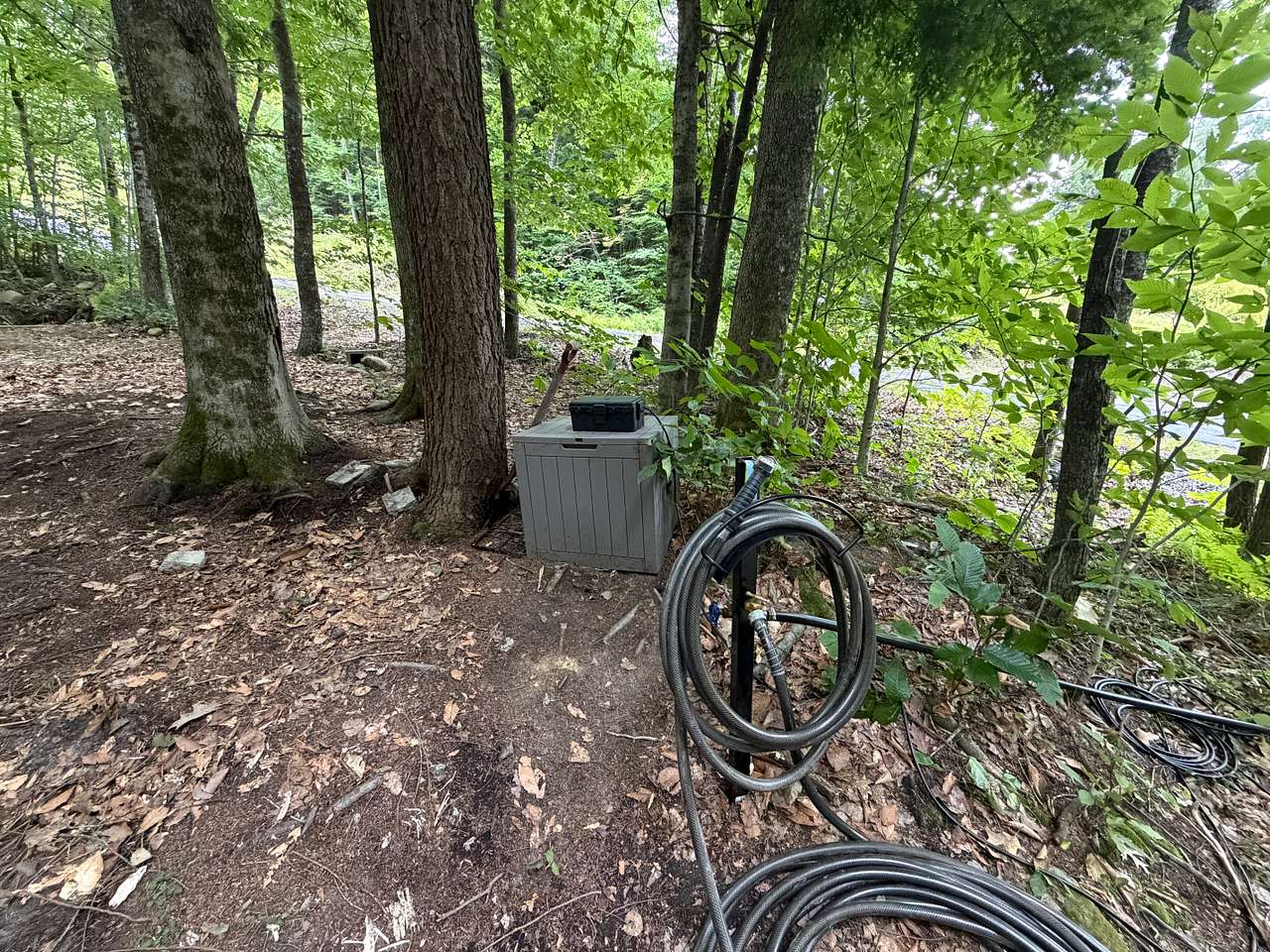 Picture of the site