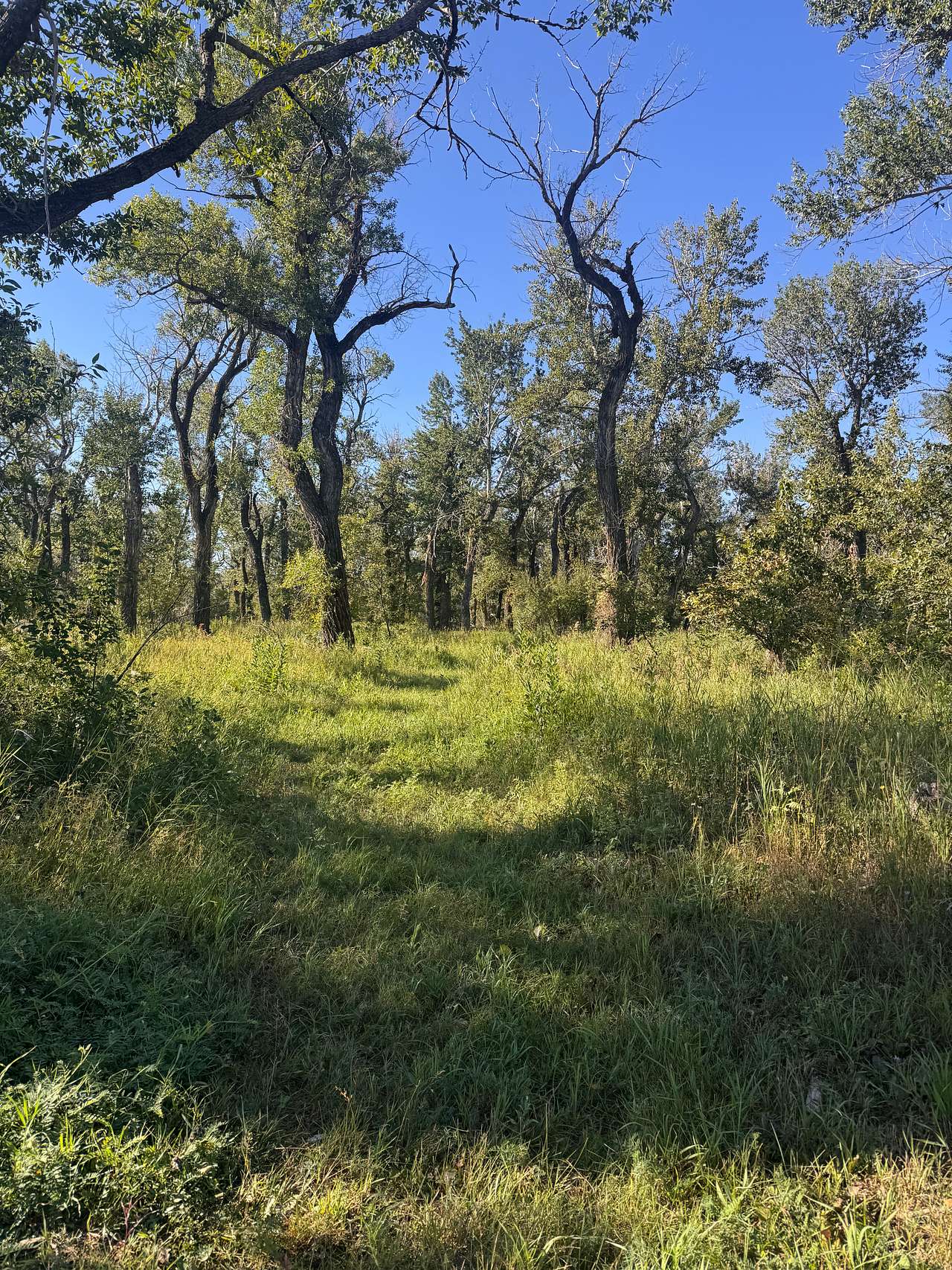 View from camp site
