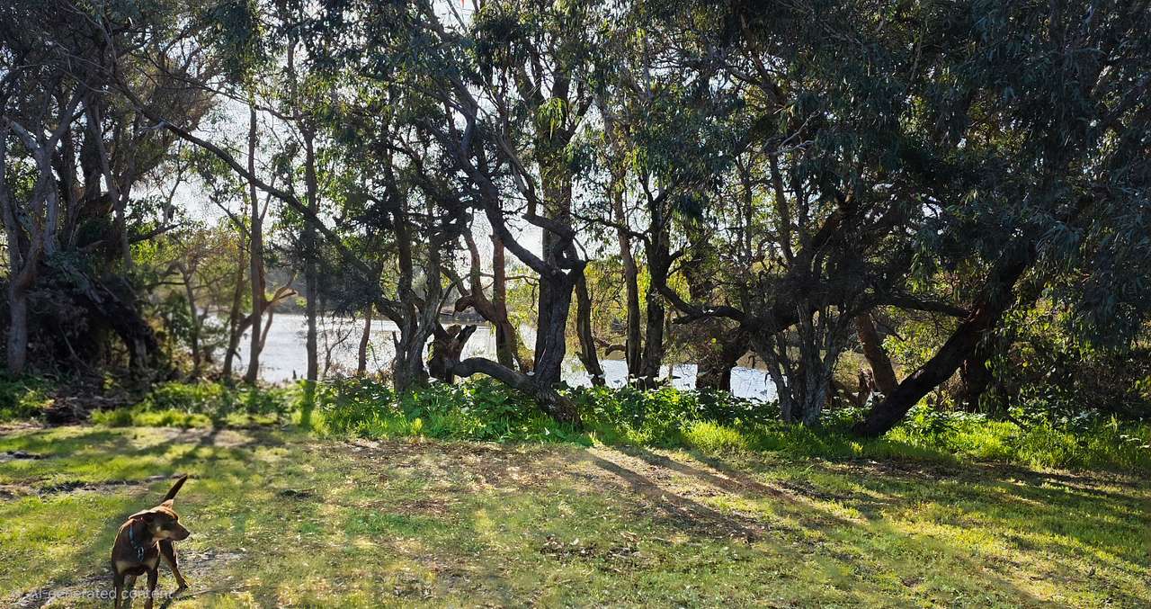 View of the lake from the campsite.