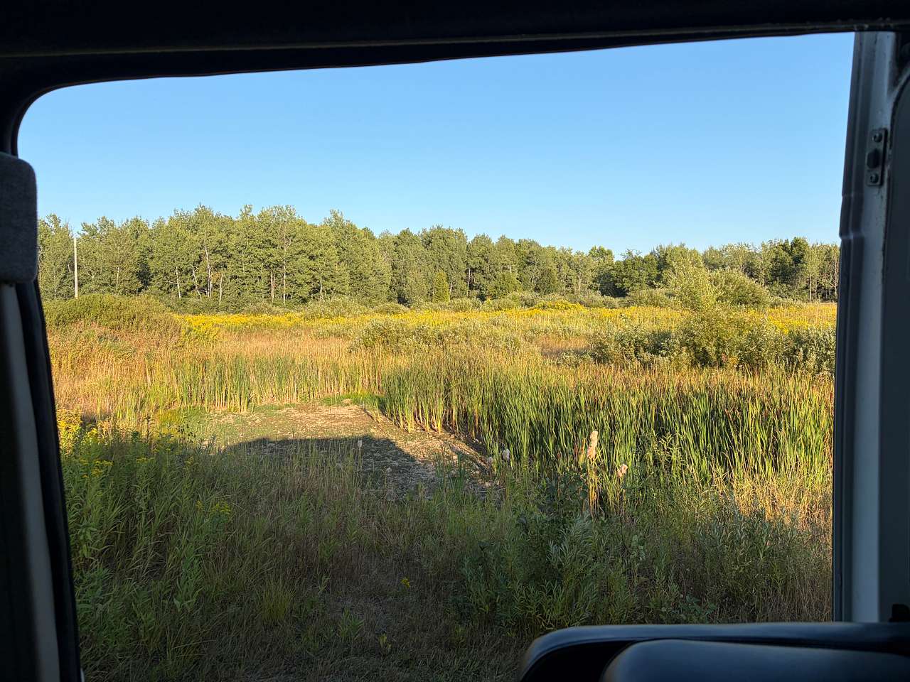 Picture of the site