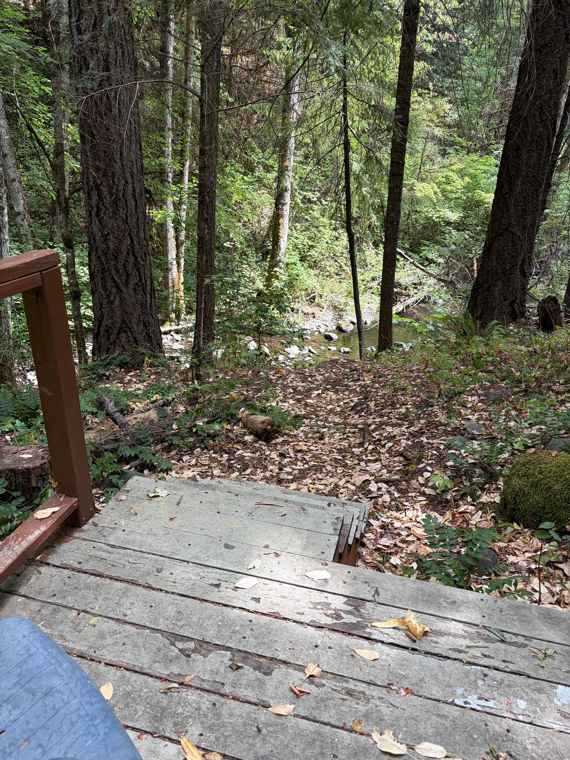 Creekside Cottage in Williams, OR