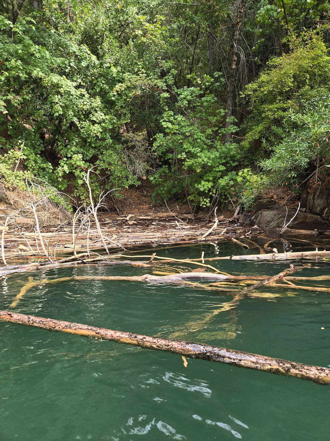 Rollins Lake Retreats & Adventures