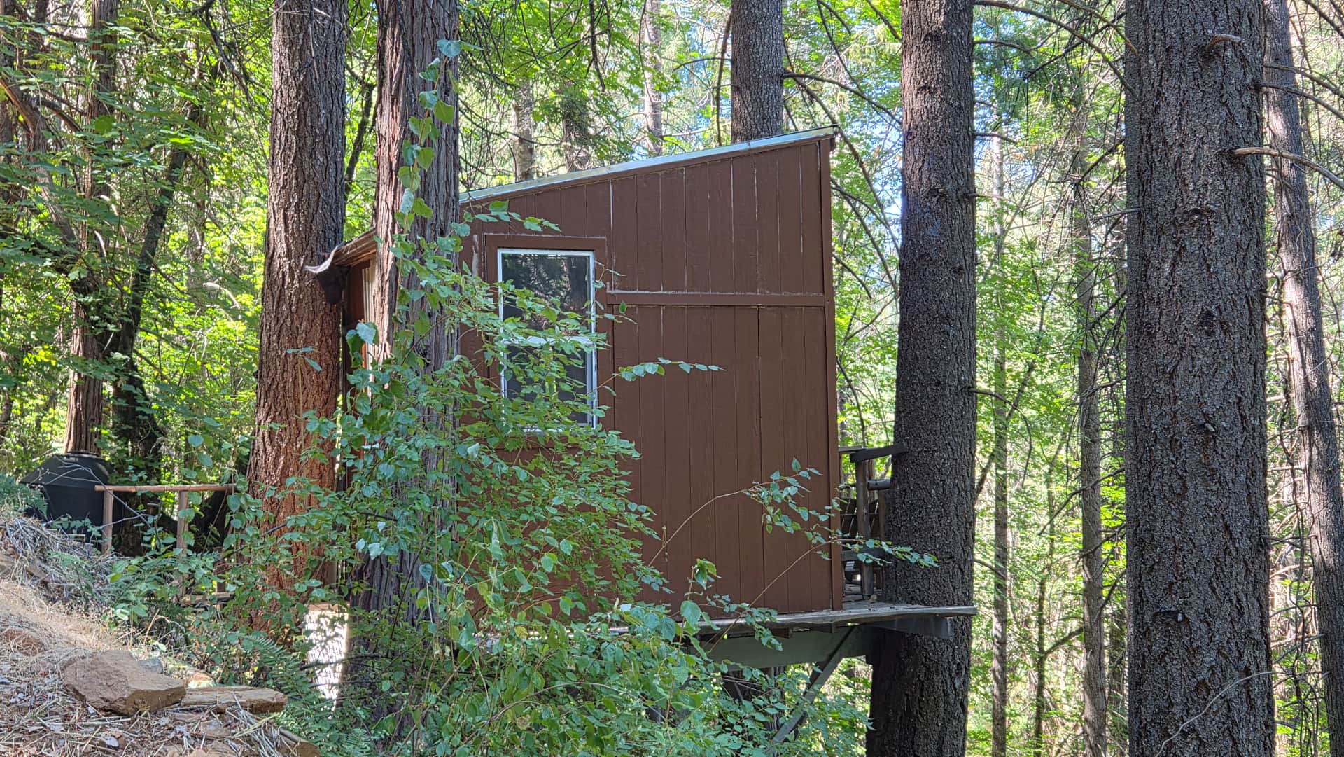 Forest Mountain Treehouse Retreat