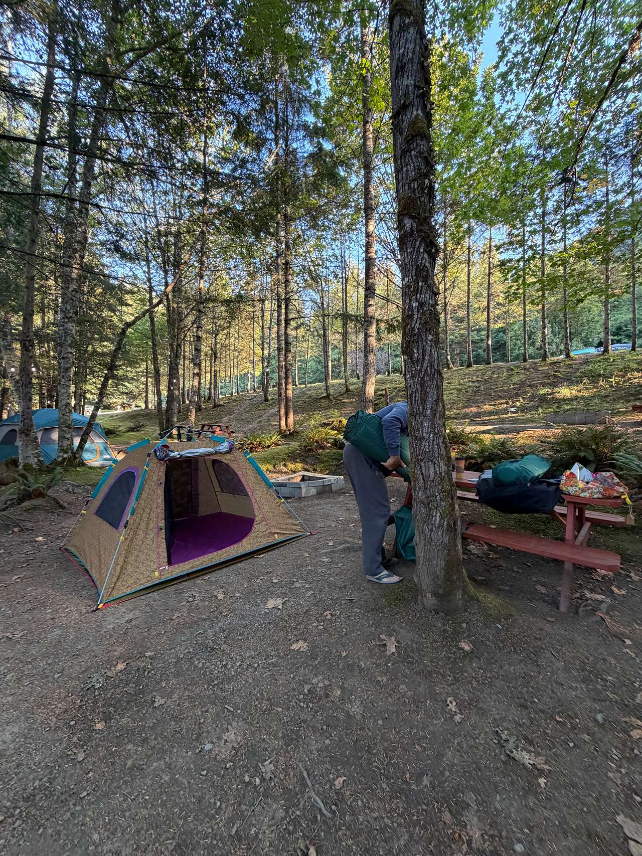 Picture of the site