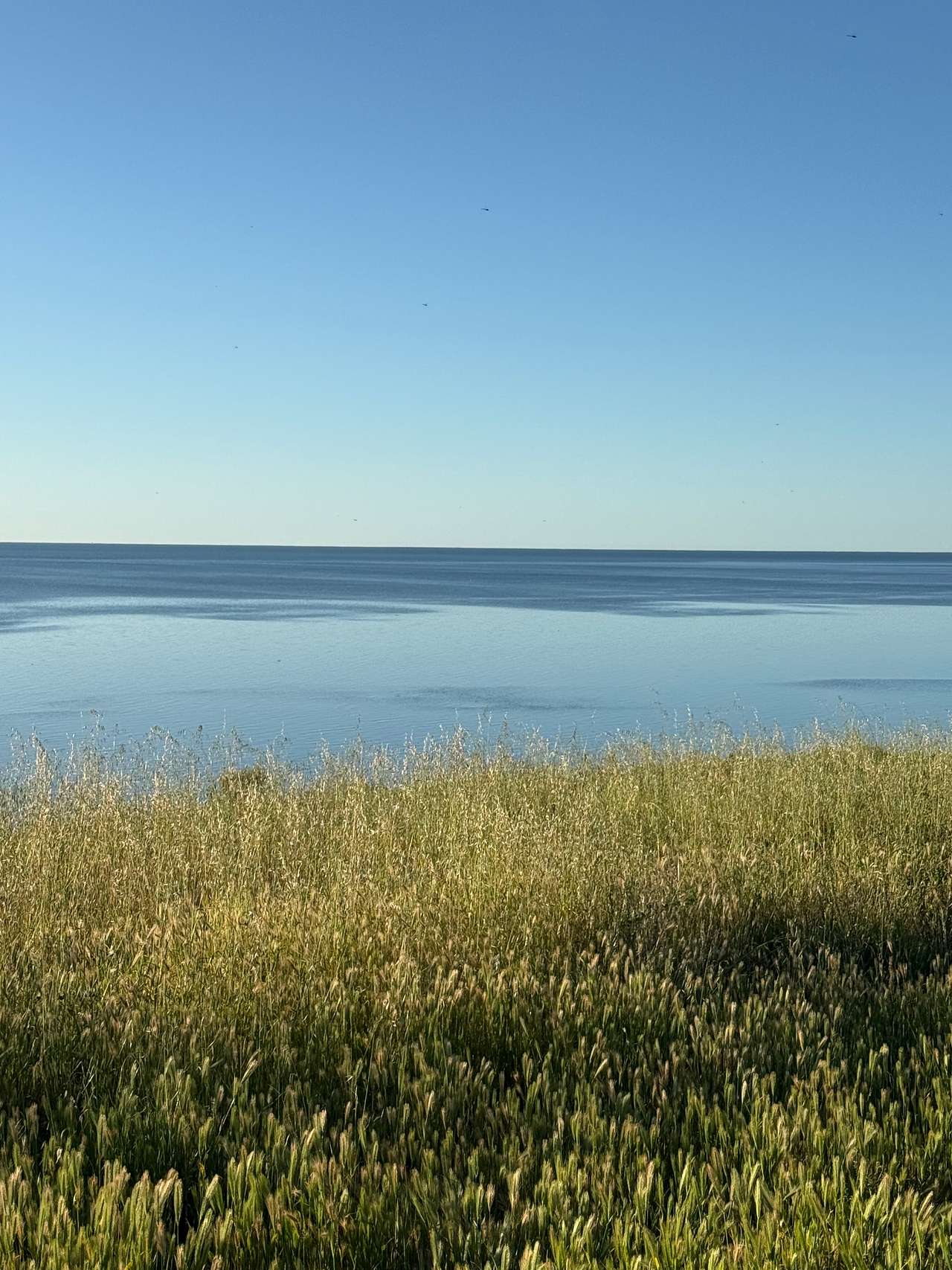Tickera Seaview Camp Grounds