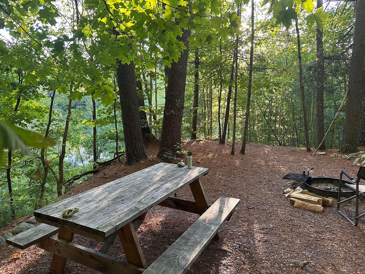 Picnic table and fire pit on site 