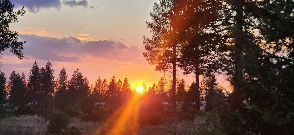 Blessed Pines Campground