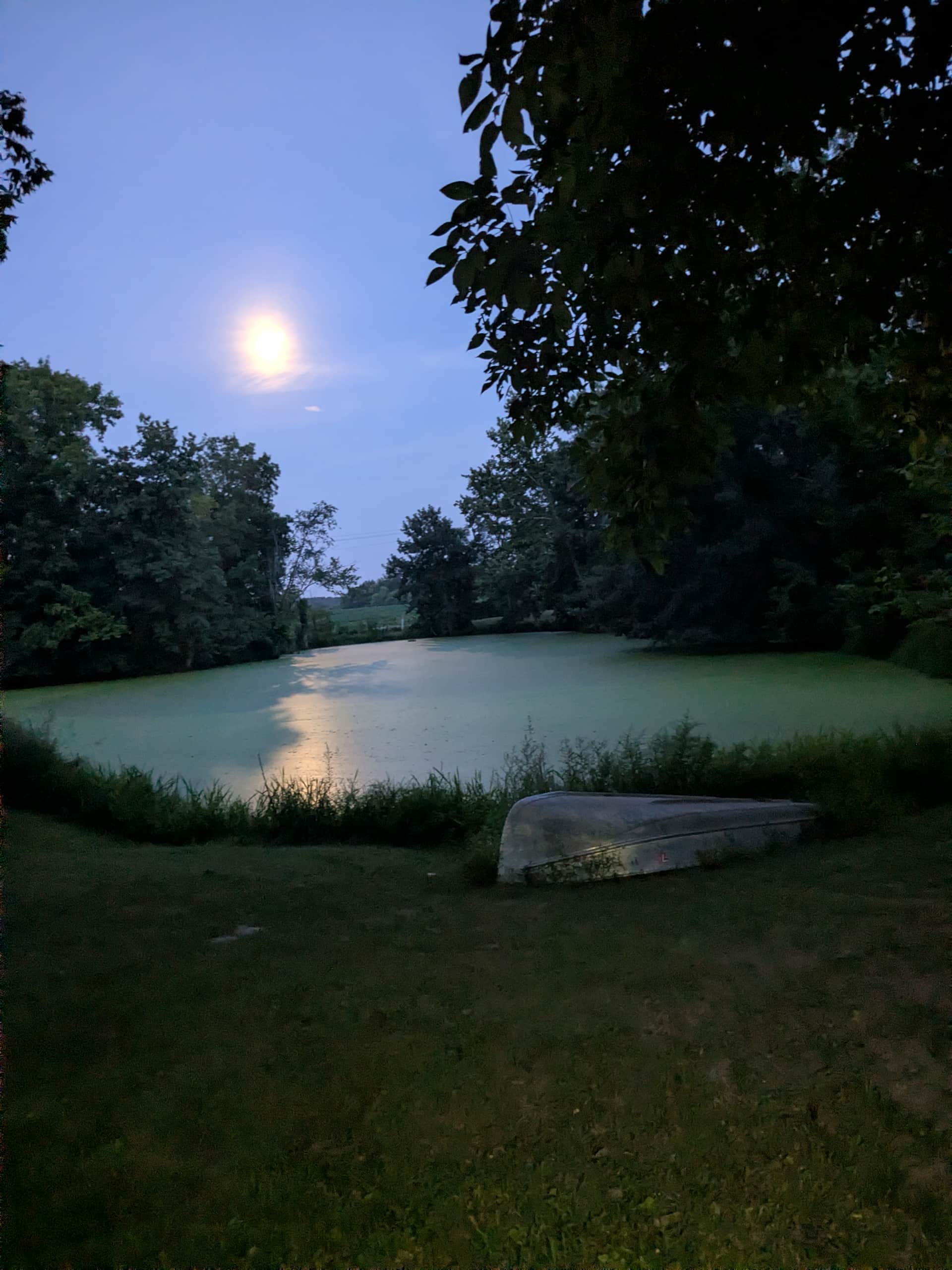 Moonlight over the pond.