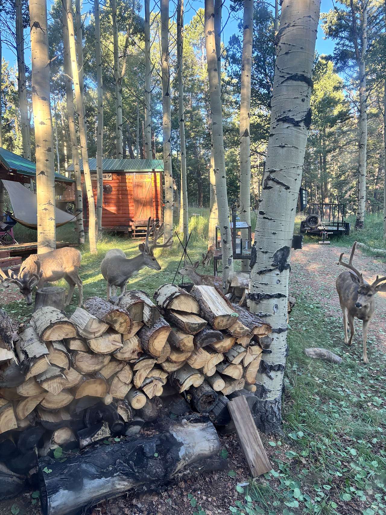 Cabin, RV & RV Site by Muller Park