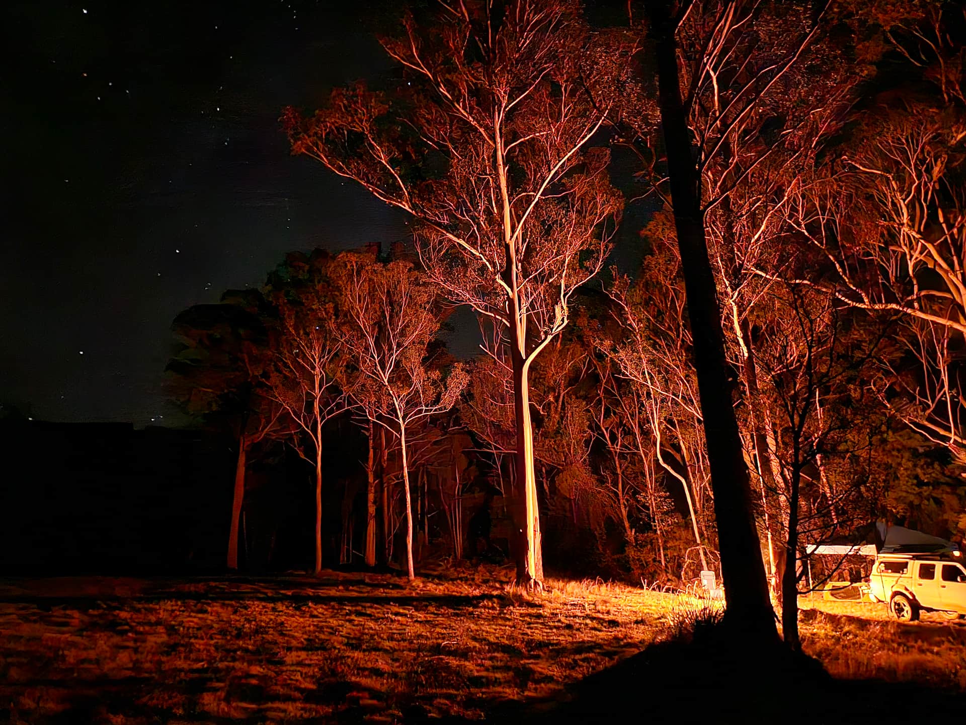 Picture of the site