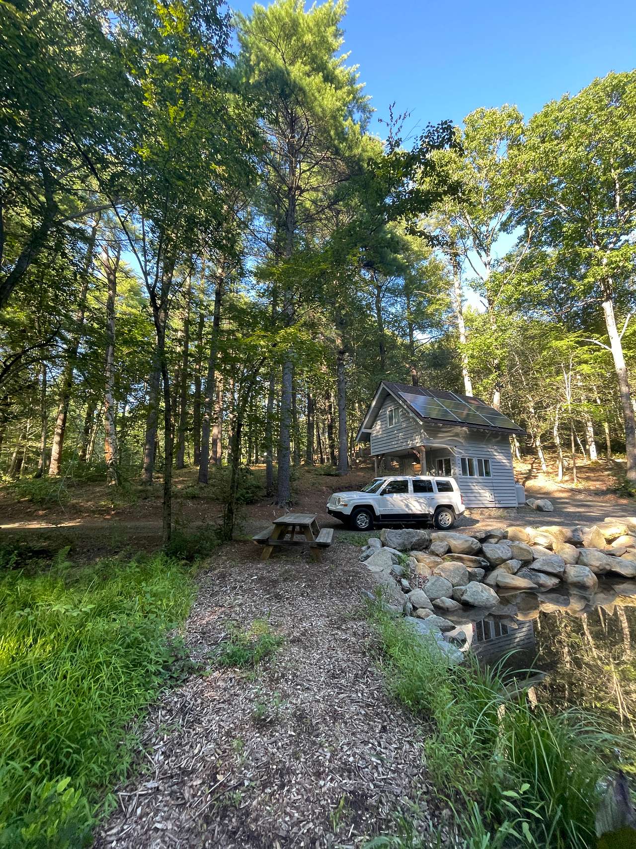 Picture of the site