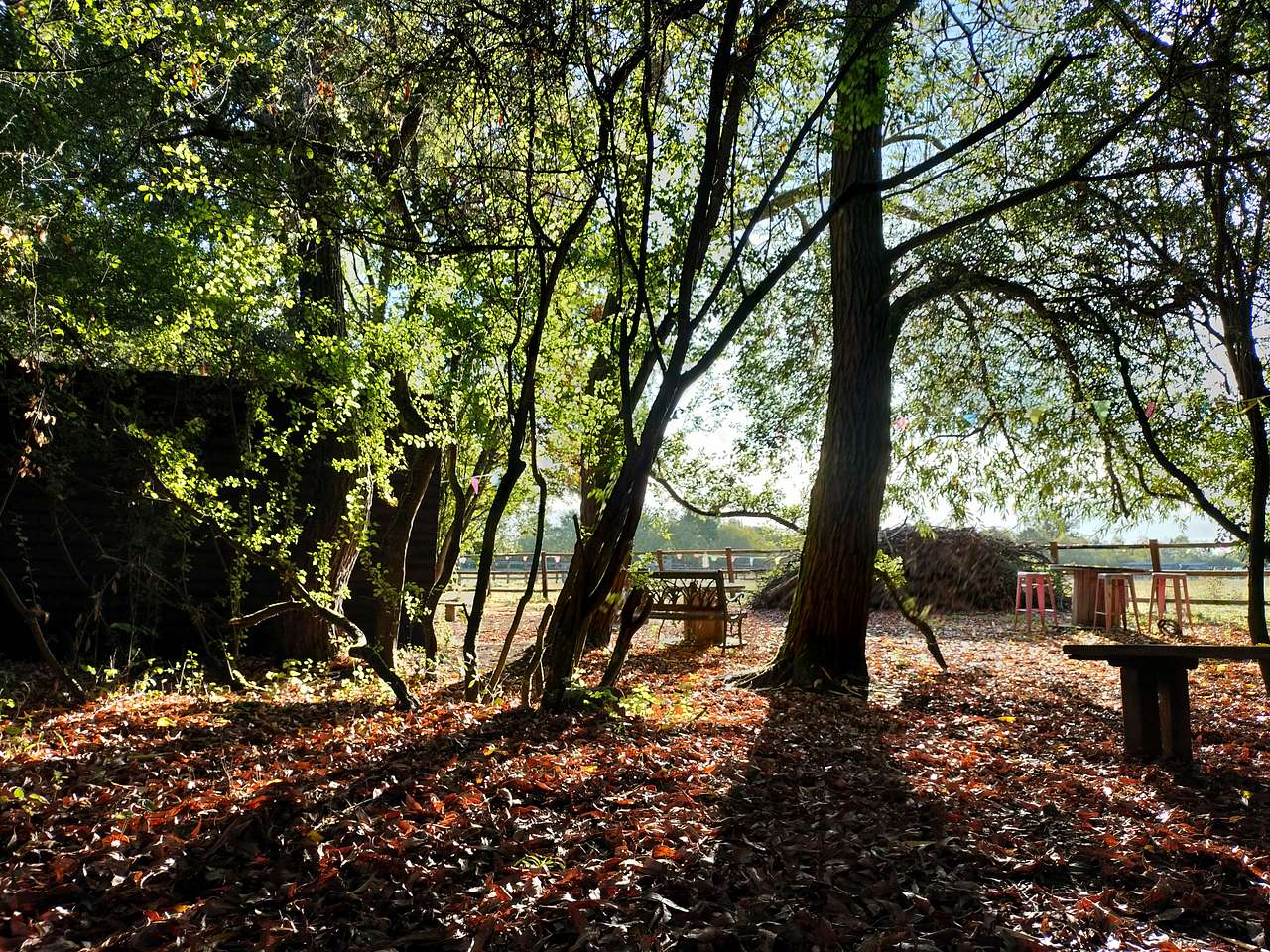 Shotover Country Park Wild Camping