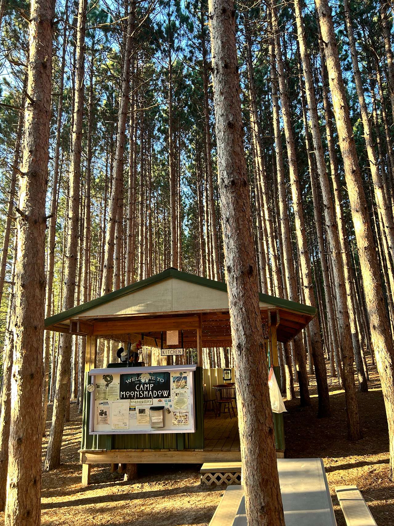 Camp Moonshadow