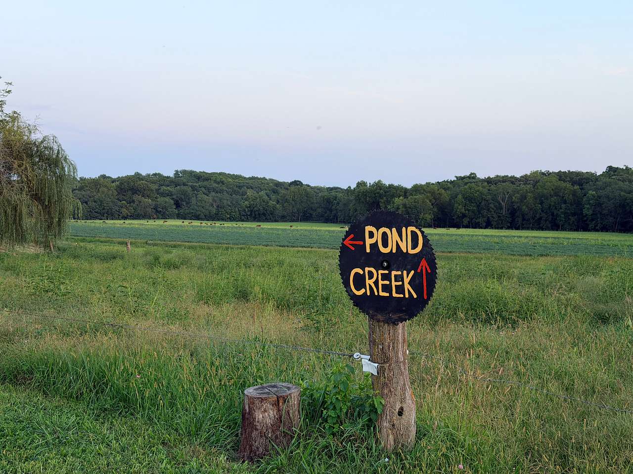Signed walking paths