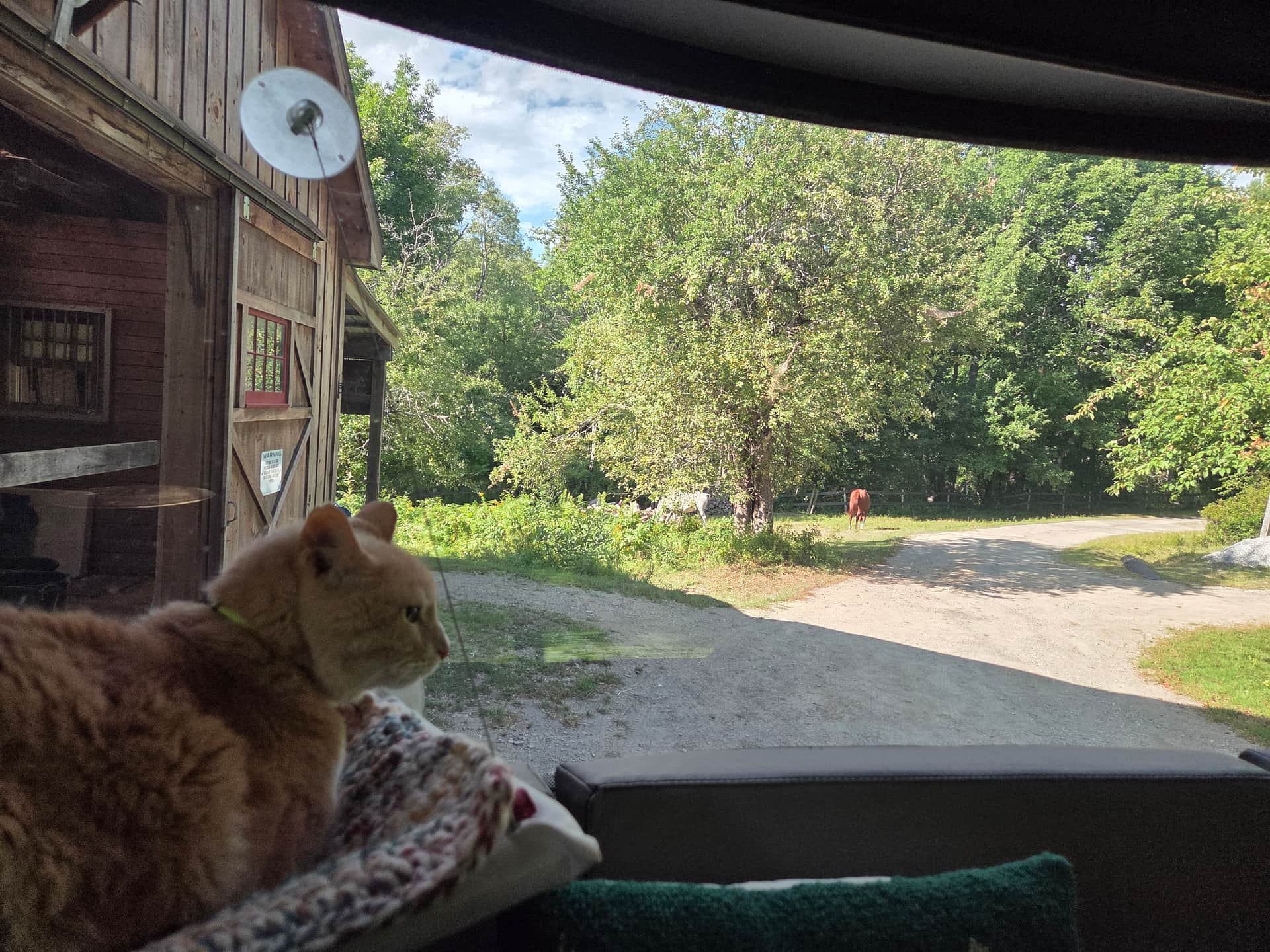 Our Campin' Cat enjoyed it here, too!