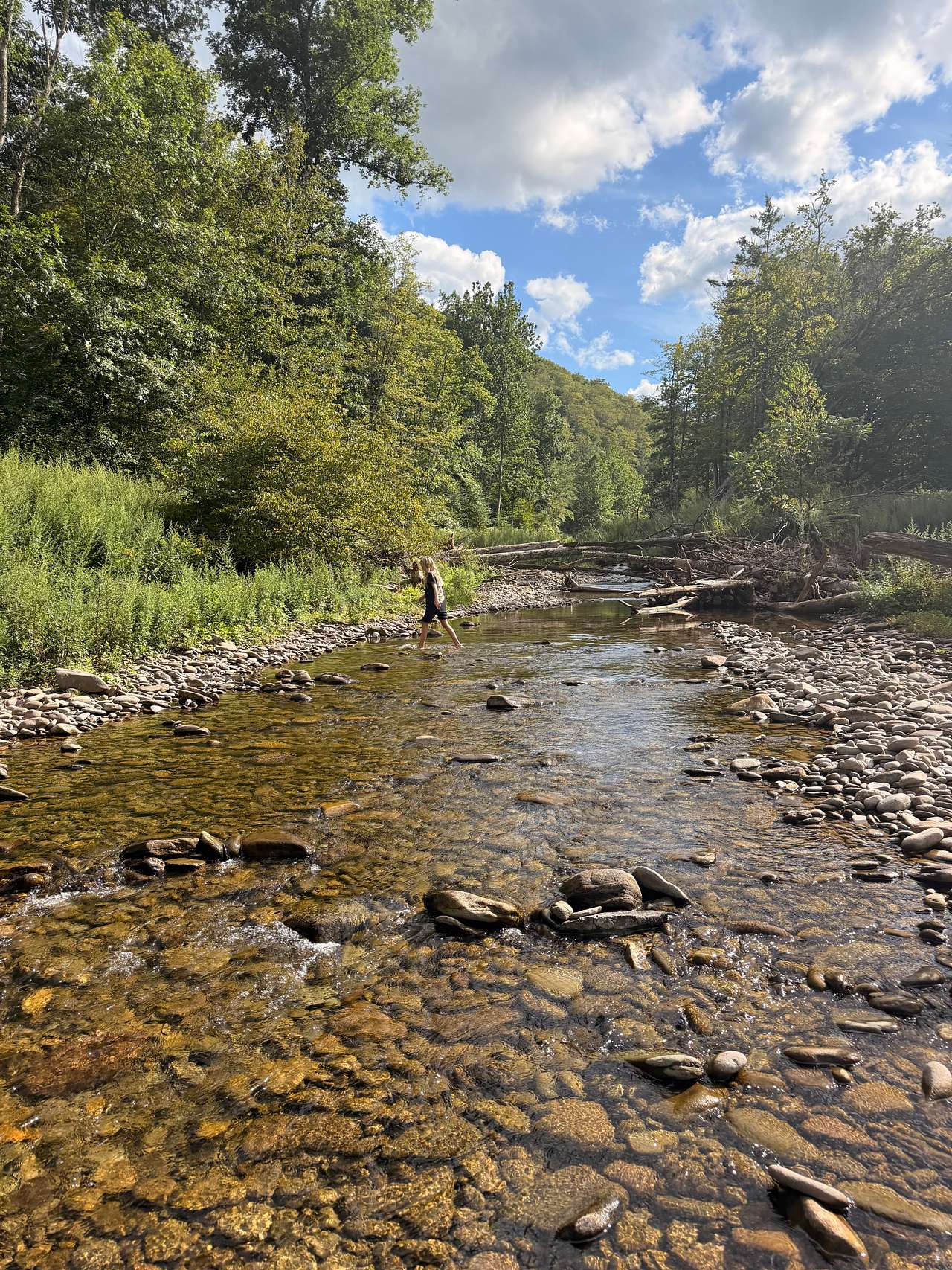 Big Indian Wilderness Paradise