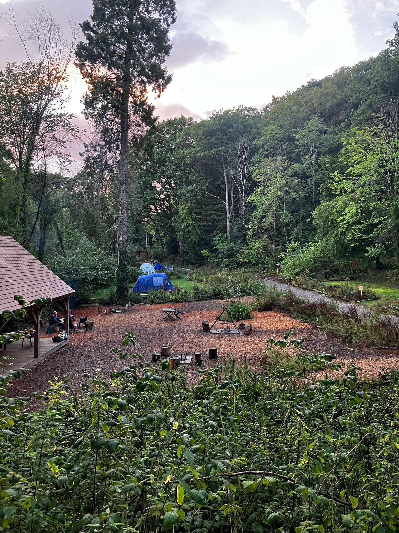 Picture of the site