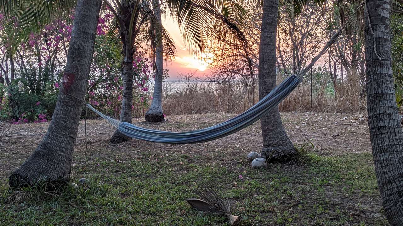 LA Beach Camp