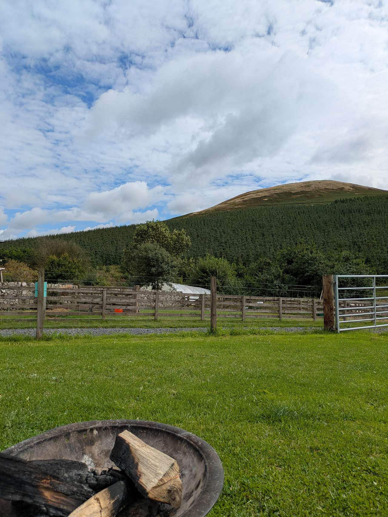 Beirhope Alpacas