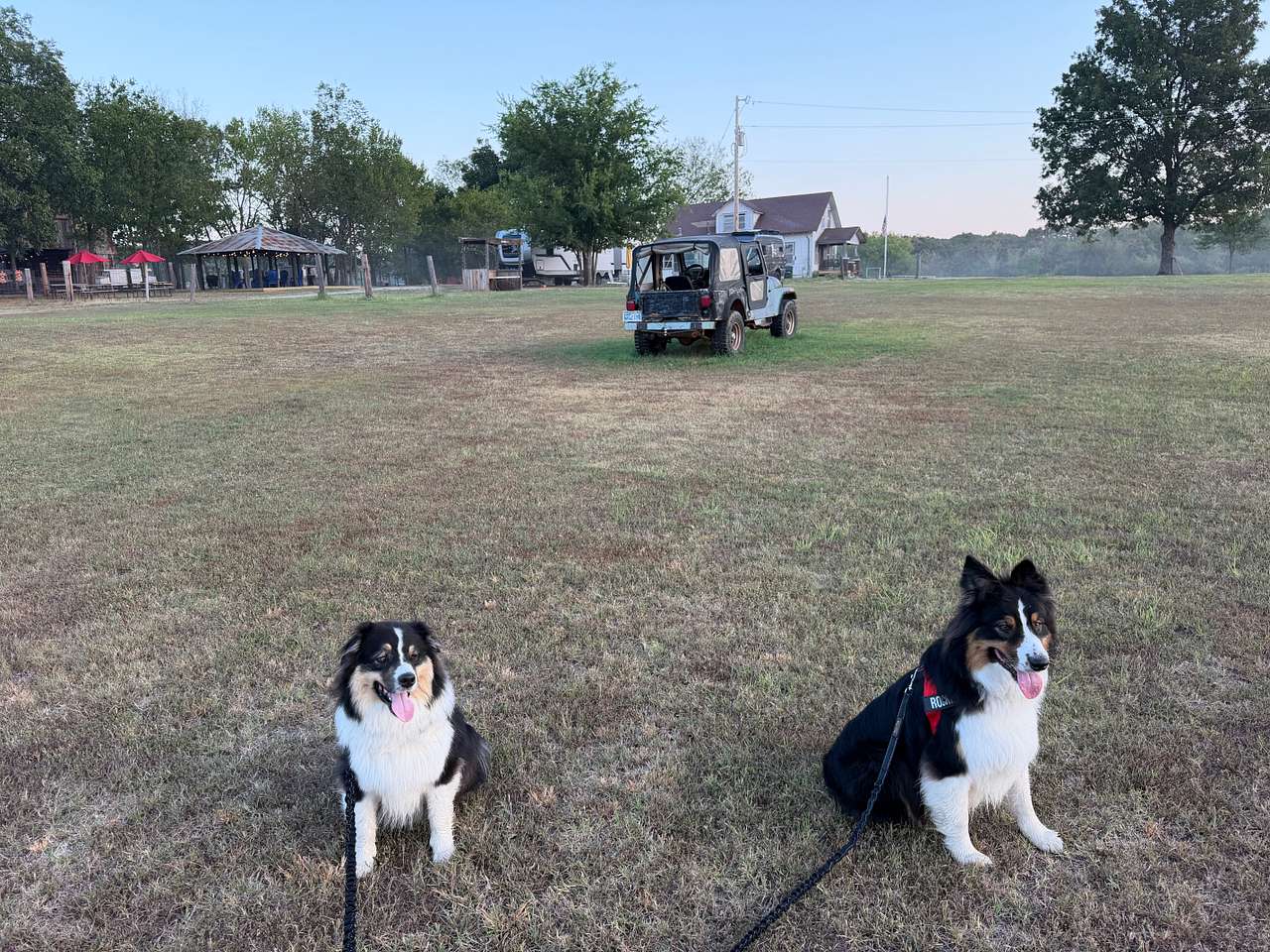 Wandering Trail Farms