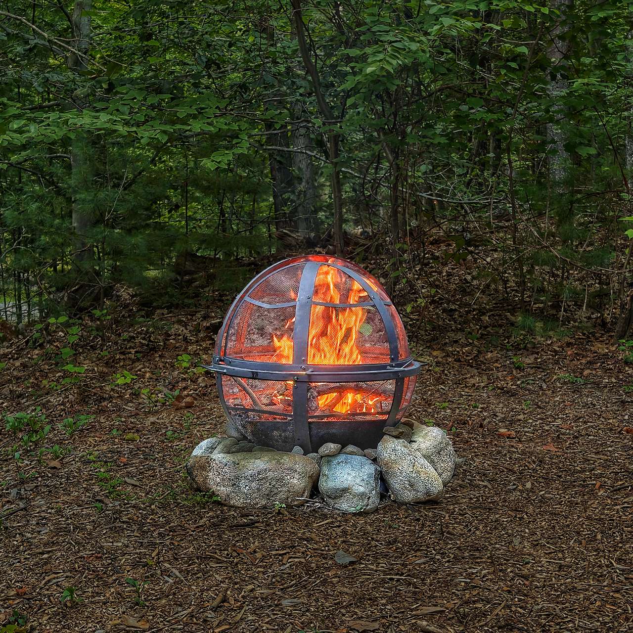 Hickory Heights Campsite