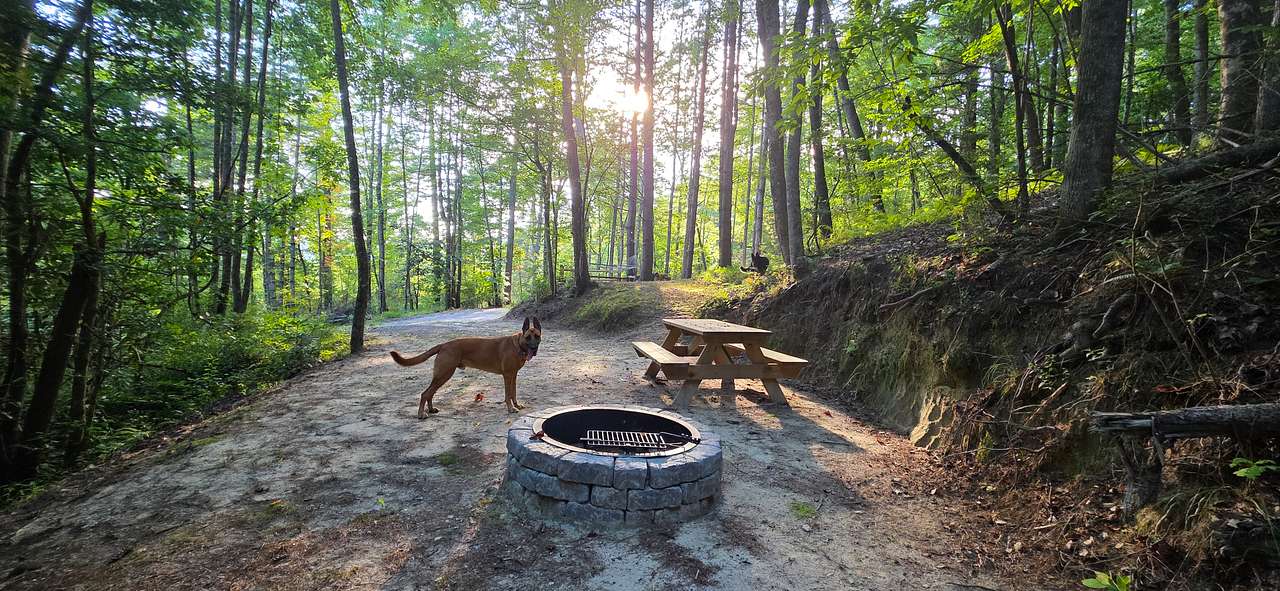 Twin Falls Wilderness Retreat
