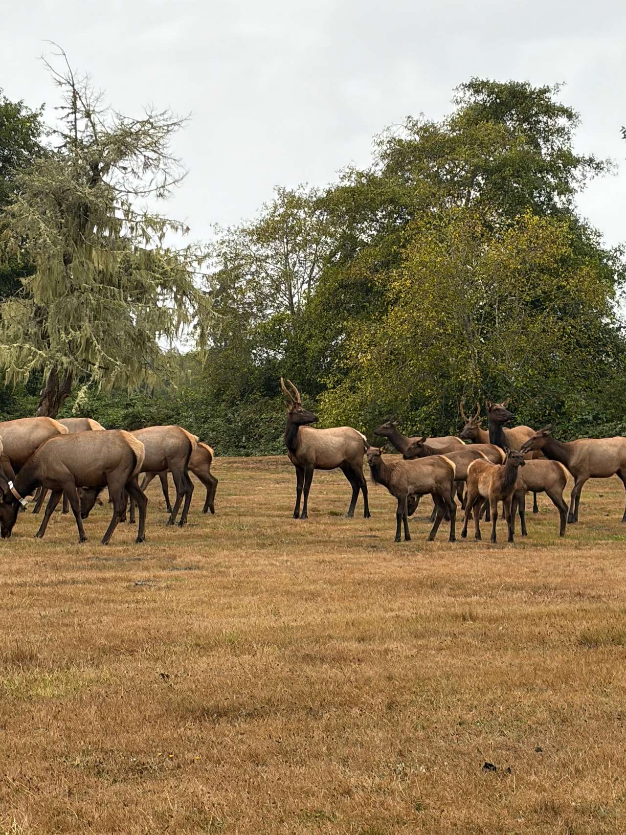 Elk Country RV Resort & Campground